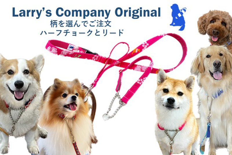 ラリーズカンパニー5